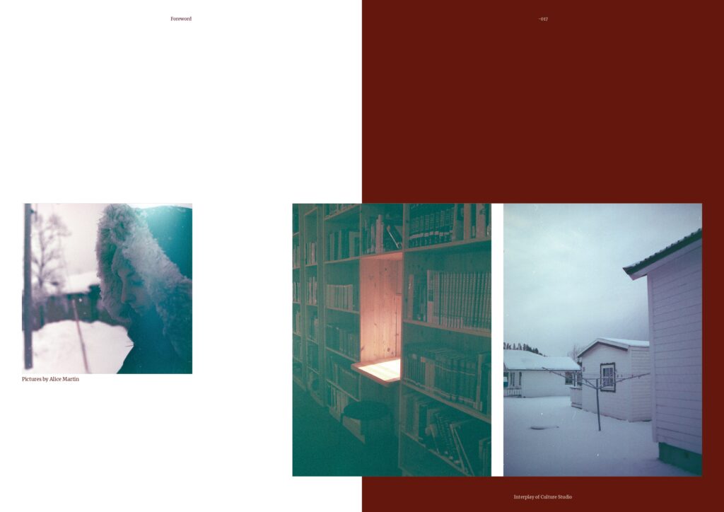 publication layout interplay of cultures studio 16 17 page 0001